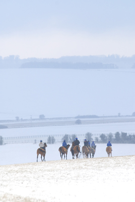 Going home in the snow